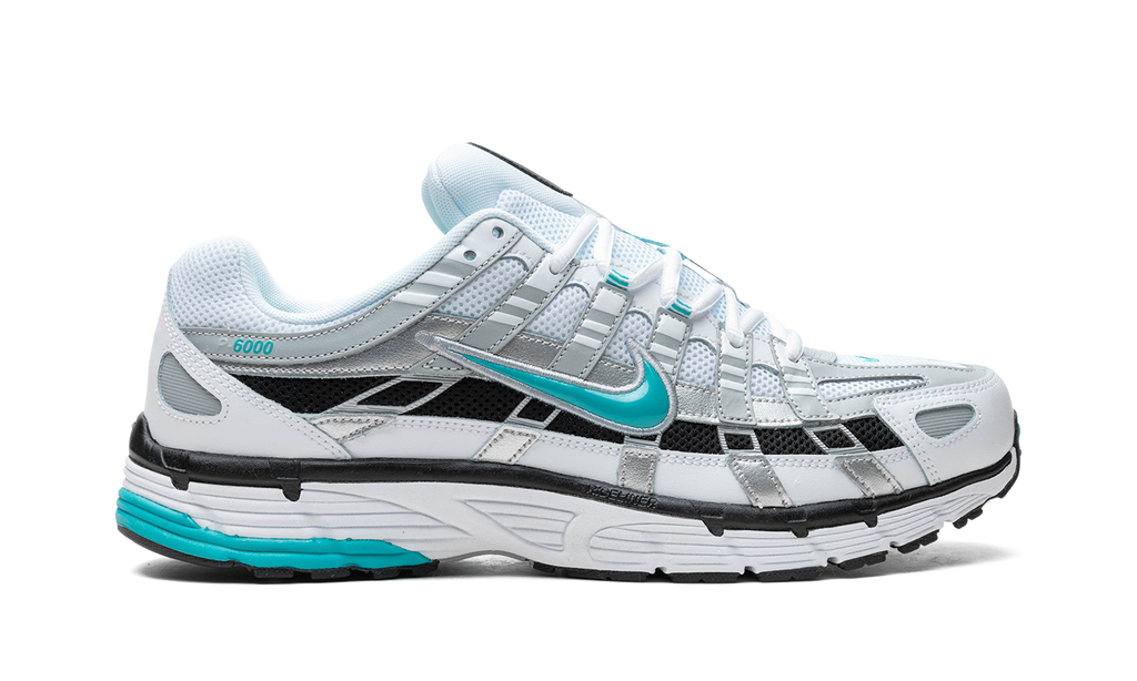 Nike P-6000 Dusty Cactus