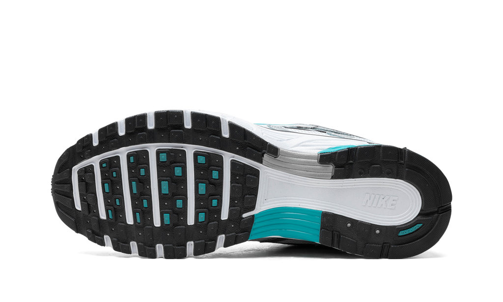 Nike P-6000 Dusty Cactus