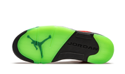 Air Jordan 5 Retro What The 6