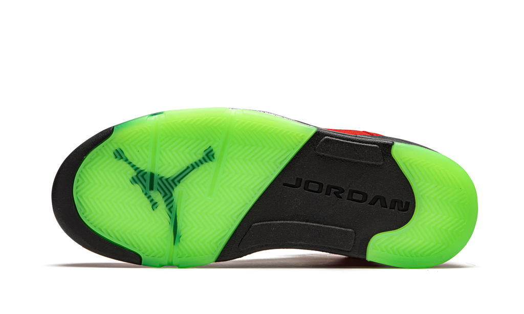 Air Jordan 5 Retro What The 6
