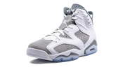 Air Jordan 6 Retro Cool Grey 5