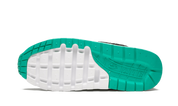 Air Max 1 Have a Nike Day (GS)