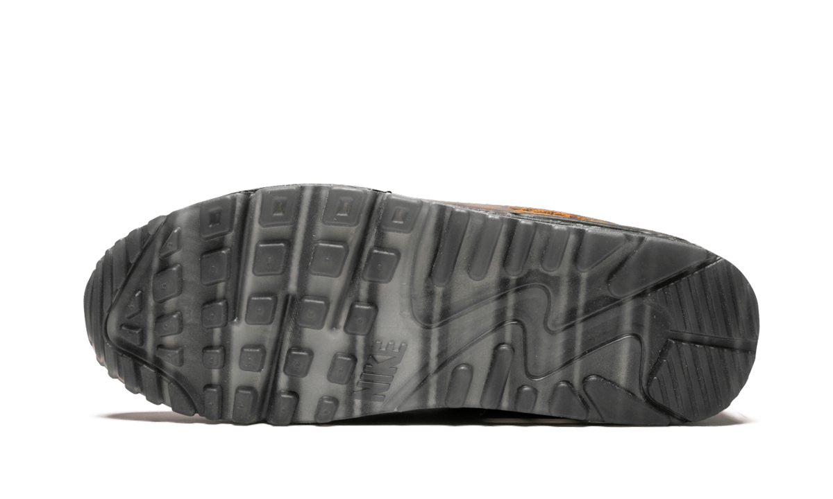 Air Max 90 QS Mars Landing