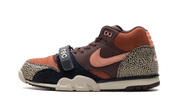Nike SB Air Trainer 1 Arts-Rec Limestone