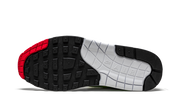 Nike Air Max 1 Evolution of Icons