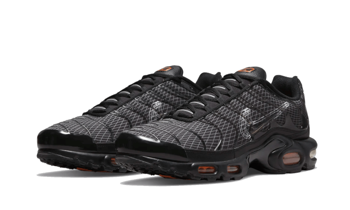 Nike Air Max Plus 3D Swoosh Black 5
