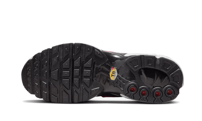 Nike Air Max Plus Dusk 9