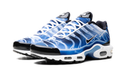 Nike Air Max Plus Light Old photography Royal 9
