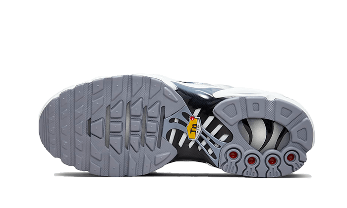 Nike Air Max Plus Sail Gray 3