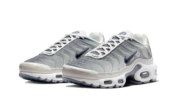 Nike Air Max Plus Sail Gray 8