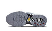 Nike Air Max Plus Sail Gray 9
