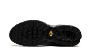 Nike Air Max Plus Tiempo Wolf Grey