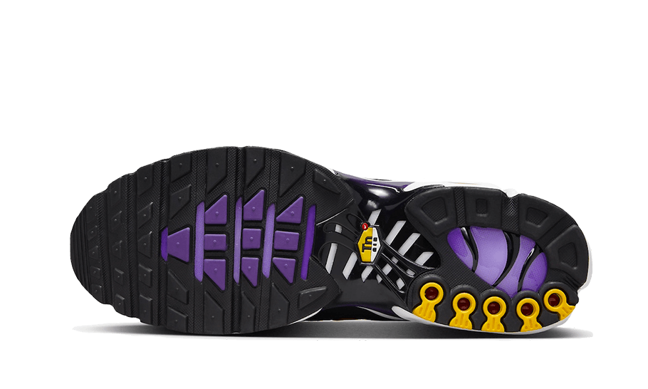 Nike Air Max Plus Voltage Purple 6