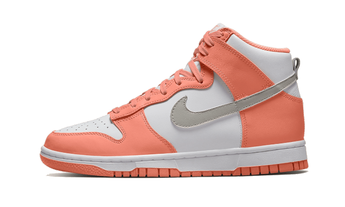 Nike Dunk High Salmon Gray 4