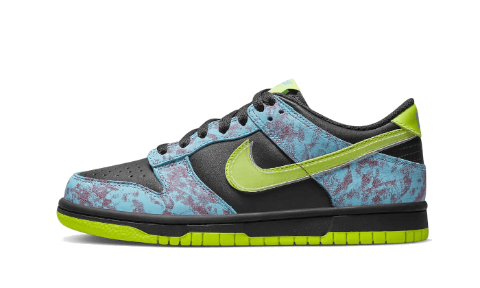 Nike Dunk Low Acid Wash 4