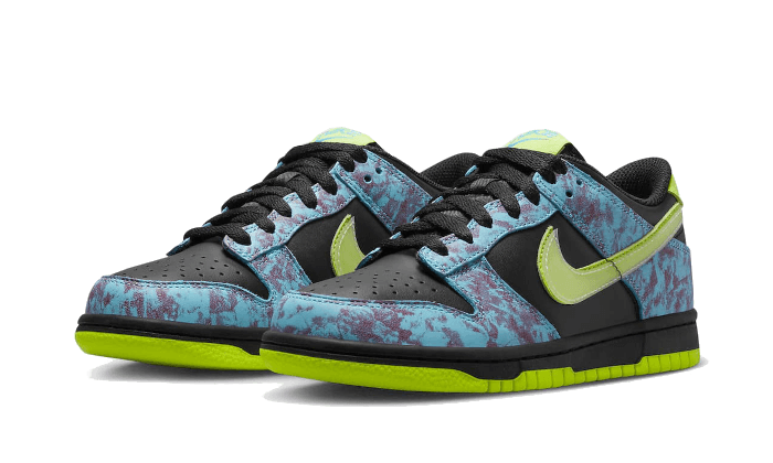 Nike Dunk Low Acid Wash 5