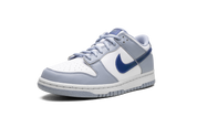 Nike Dunk Low Hologram