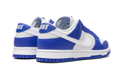 Nike Dunk Low Kentucky Alternate 10