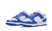 Nike Dunk Low Kentucky Alternate 5