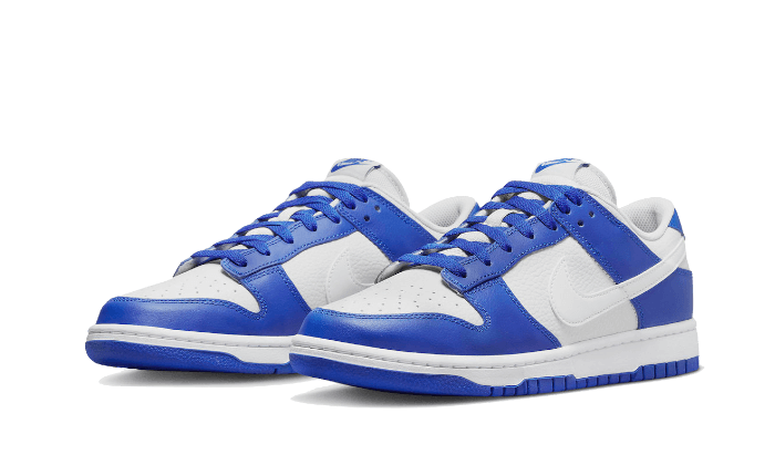 Nike Dunk Low Kentucky Alternate 5