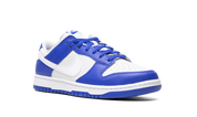 Nike Dunk Low Kentucky Alternate 8