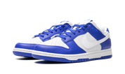 Nike Dunk Low Kentucky Alternate 9