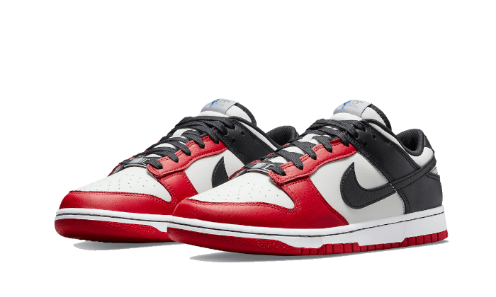 Nike Dunk Low NBA 75th Anniversary Chicago Bulls 5