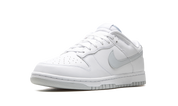 Nike Dunk Low Retro White Pure platinum