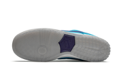 Nike SB Dunk Low Pro Blue Fury 6