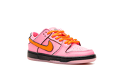Nike SB Dunk Low 'The Powerpuff Girls Blossom' (PS) 2