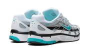 Nike P-6000 Dusty Cactus