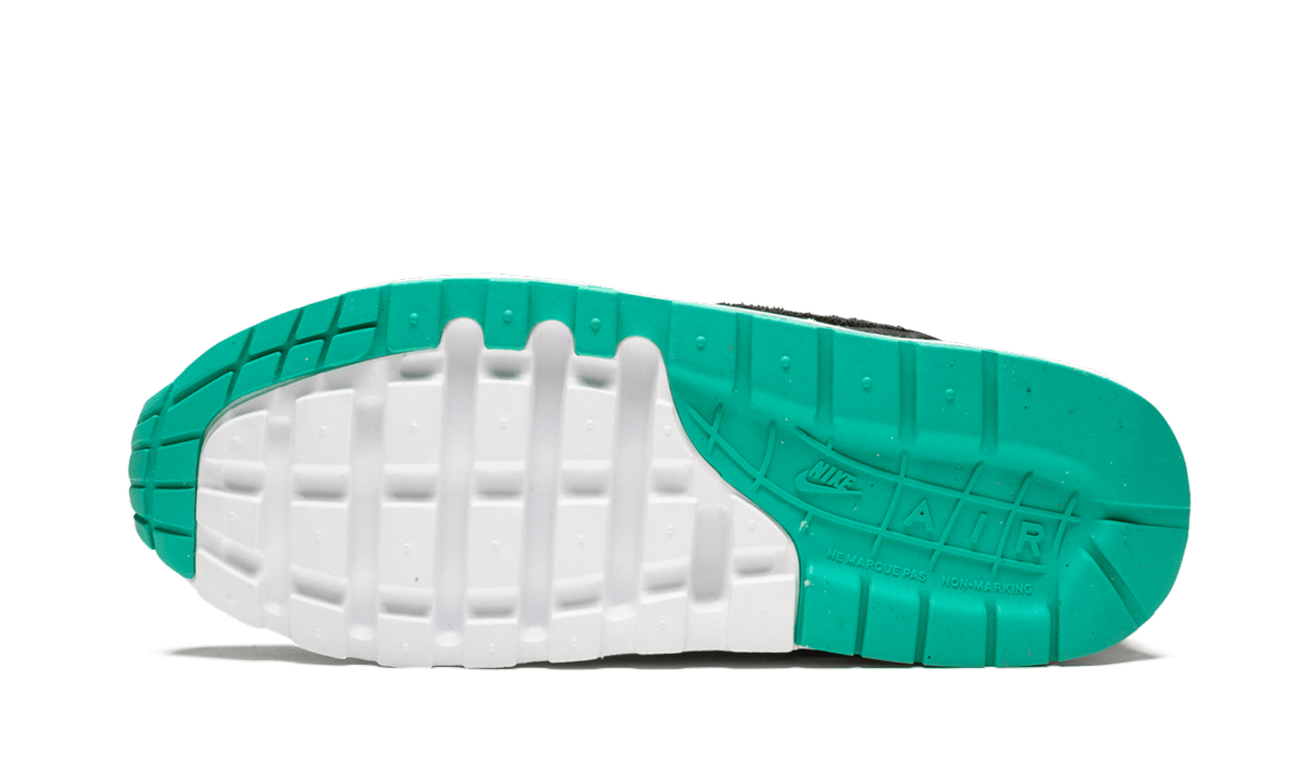 Air Max 1 Have a Nike Day (GS)
