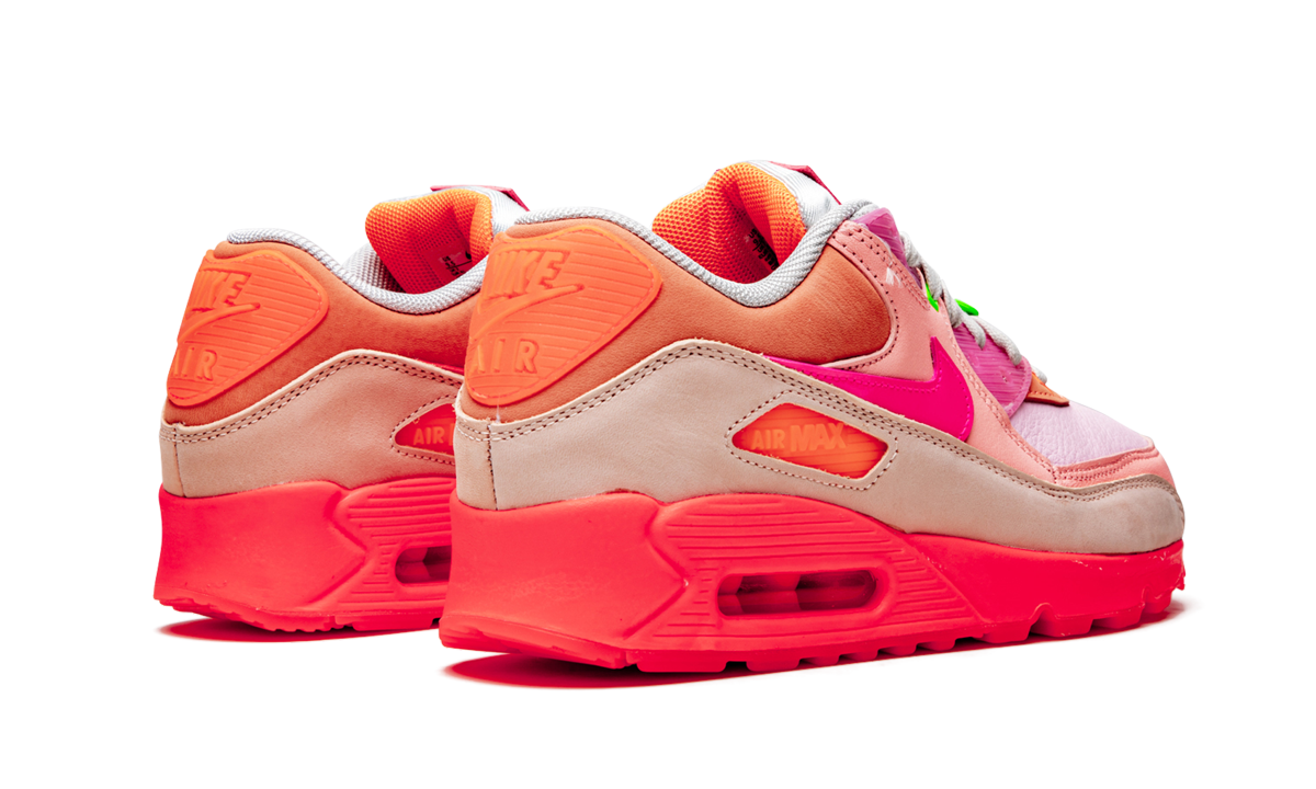 Air Max 90 PRM Platinum Crimson/Bright Purple (W)