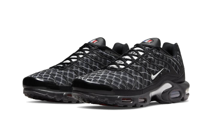 Nike Air Max Plus France 2