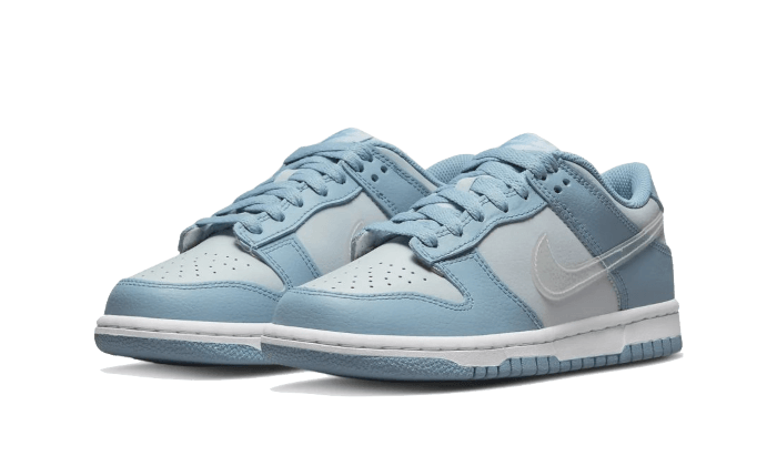 Nike Dunk Low Clear Swoosh 2