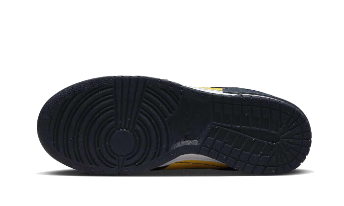 Nike Dunk Low Disrupt 2 Michigan 9