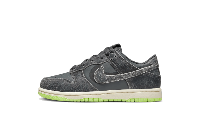 Nike Dunk Low Swoosh Shadow Iron Gray Child (PS) 1