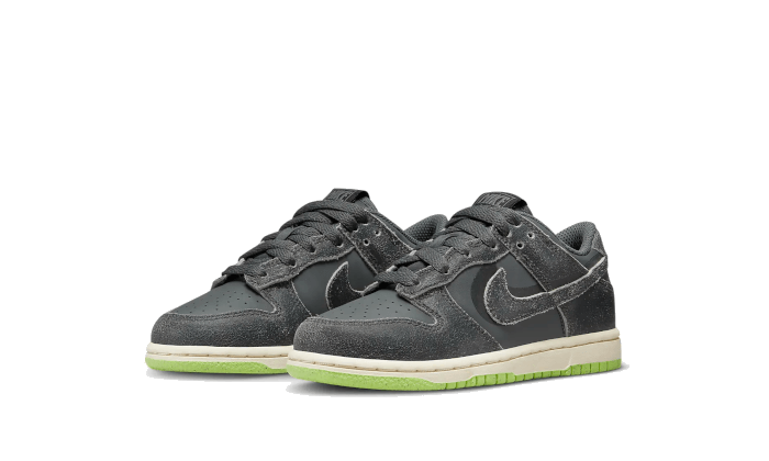 Nike Dunk Low Swoosh Shadow Iron Gray Child (PS) 2
