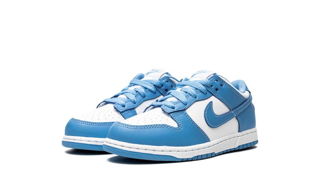 Nike Dunk Low UNC 2021 PS 3