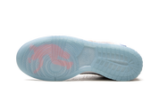 Nike Dunk Low Union Passport Pack Argon