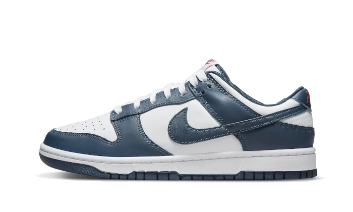 Nike Dunk Low Valerian Blue 1