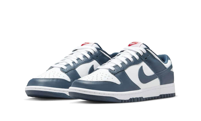 Nike Dunk Low Valerian Blue 2
