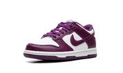 Nike Dunk Low Viotech (GS) 5