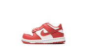 Nike Dunk Low White Gypsy Rose (TD)