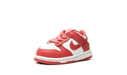 Nike Dunk Low White Gypsy Rose (TD)