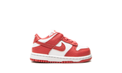 Nike Dunk Low White Gypsy Rose (TD)