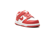 Nike Dunk Low White Gypsy Rose (TD)