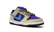 Nike SB Dunk Low Celadon 8